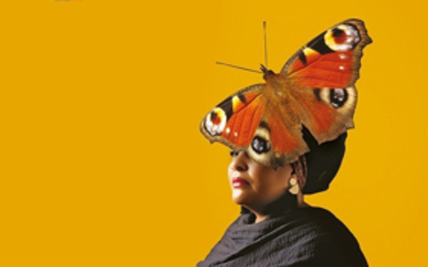 KVS Holds Afropean Casting Call KVS Holds Afropean Casting Call Image