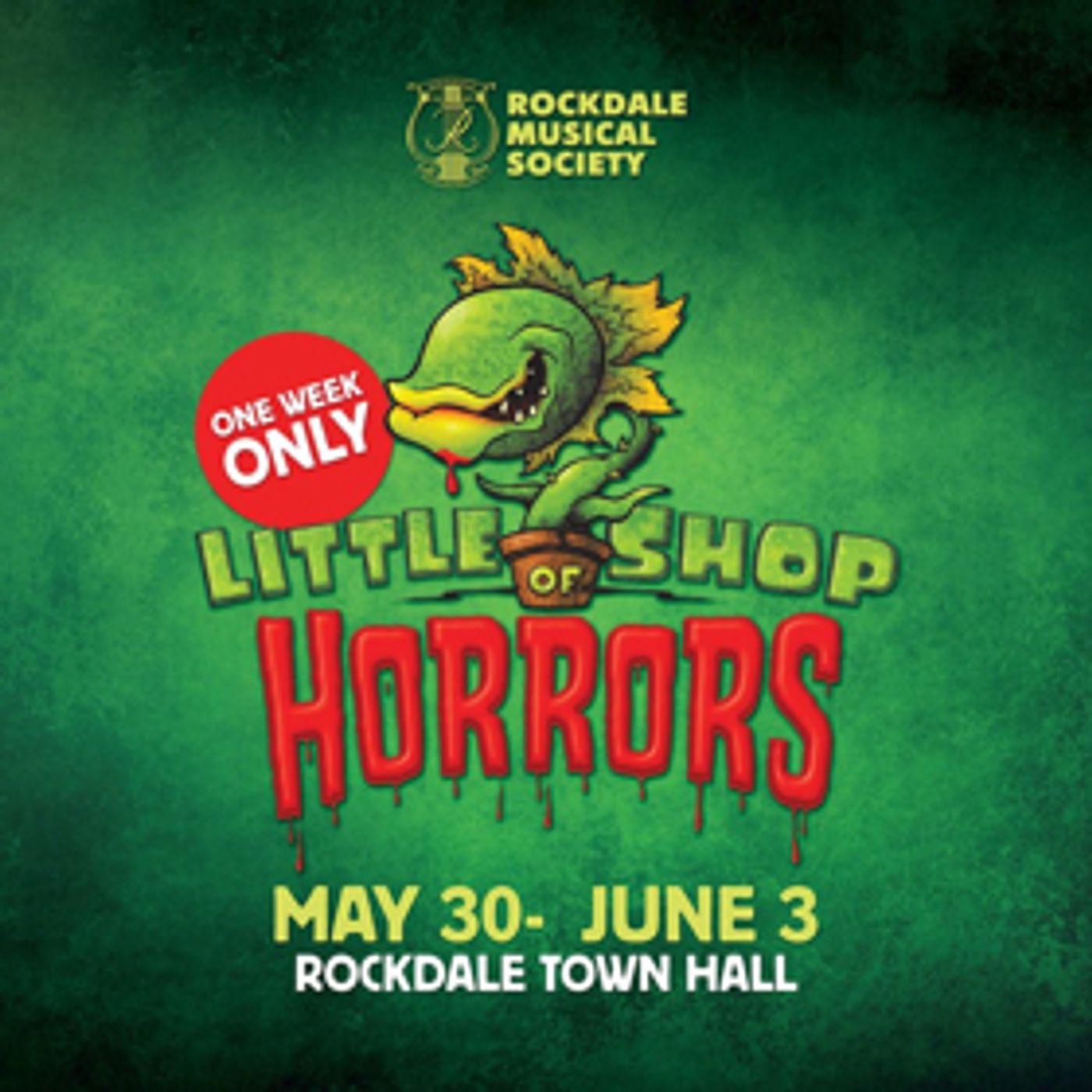 Review: Rockdale Musical Society's LITTLE SHOP OF HORRORS Showcases Some Great New Talent.  Image