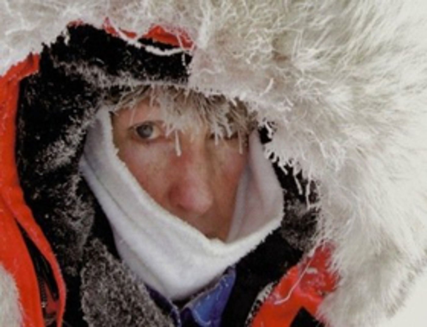 Saga of Record-Setting Aviatrix, Jennifer Murray, to Get Film Treatment  Image