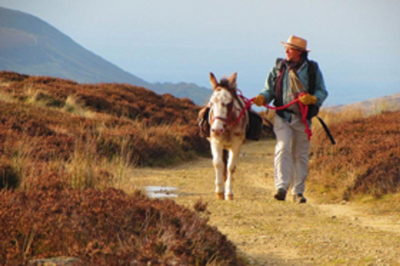 Hugh Thomson To Visit Darlington  Image