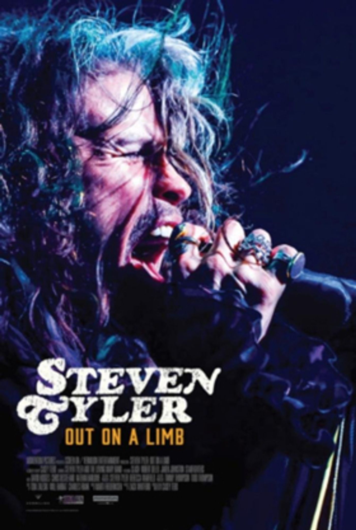 Momentum Pictures to Release STEVEN TYLER: OUT ON A LIMB On VOD & Digital May 15 Momentum Pictures to Release STEVEN TYLER: OUT ON A LIMB On VOD & Digital May 15 Image