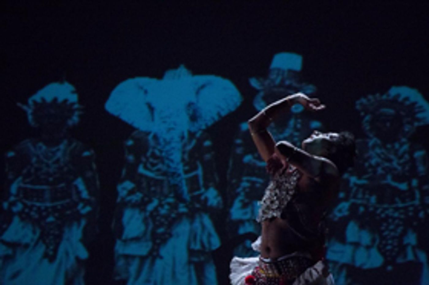 Mandala South Asian Performing Arts Receives A MacArthur International Connections Fund Grant  Image