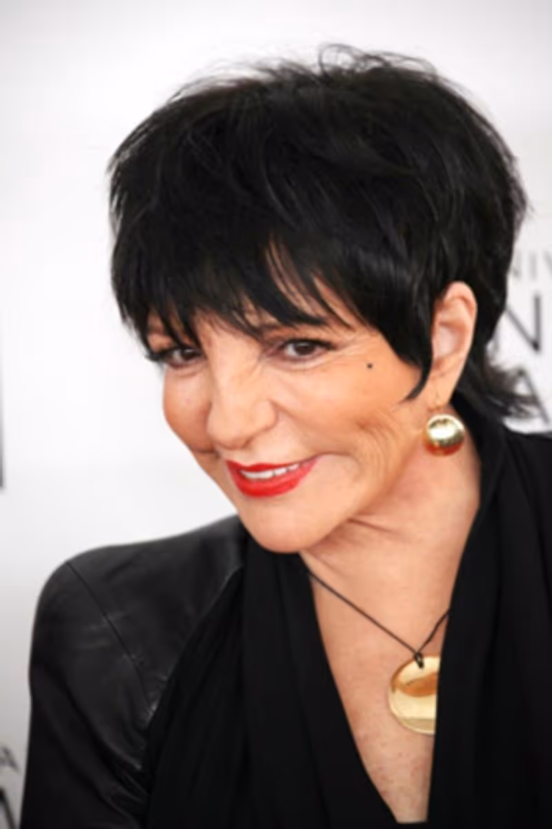 Michael Feinstein Says Liza Minnelli is 'Feeling Very Good' in New Interview Image