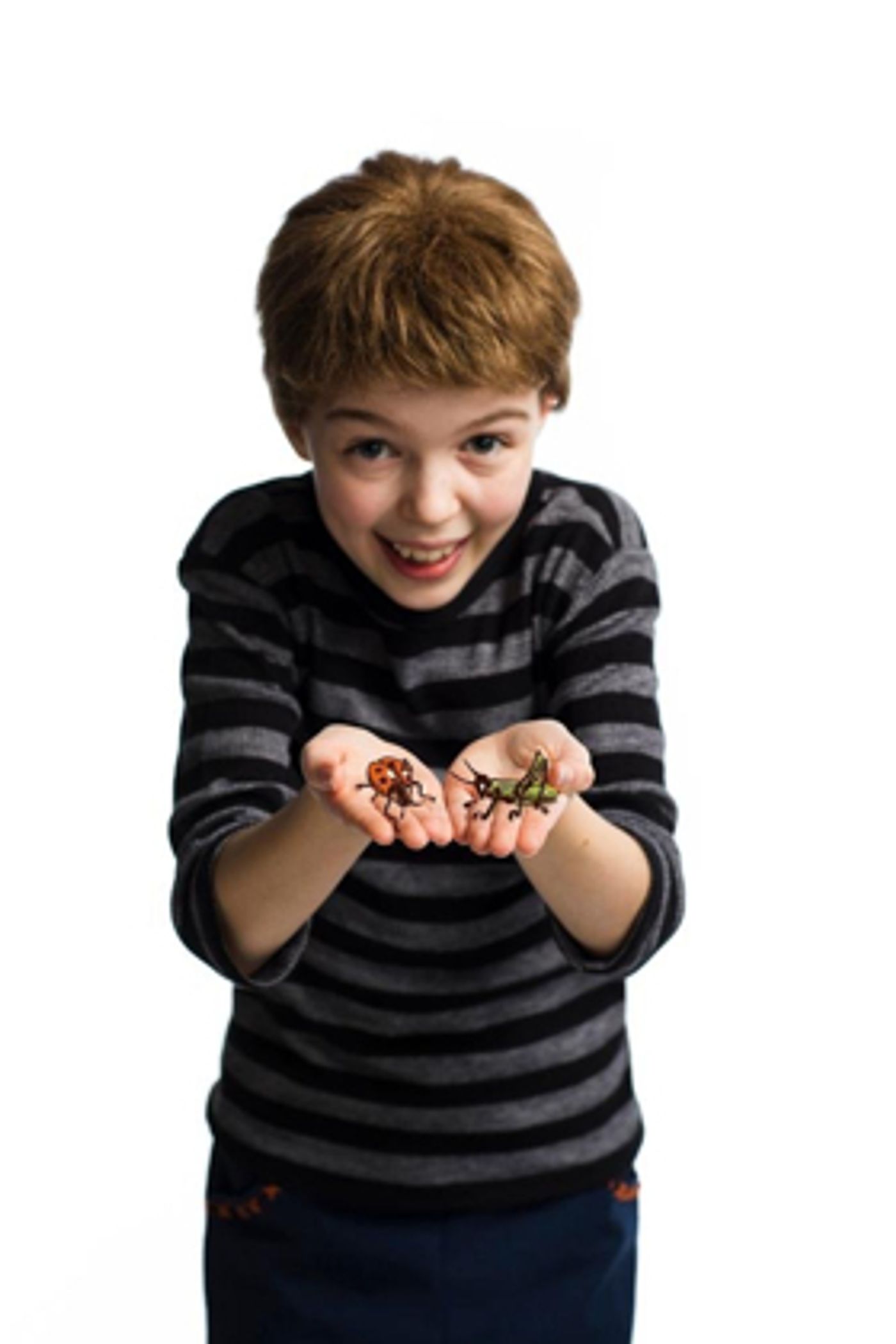 Omaha Community Playhouse Presents JAMES AND THE GIANT PEACH  Image