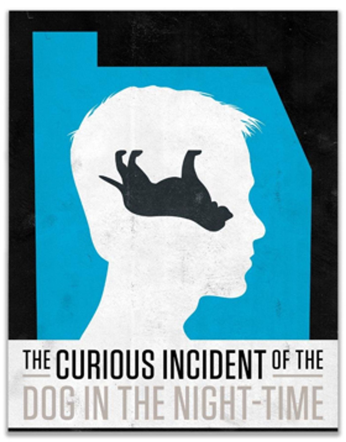 KC Rep Adds Special Sensory-Friendly Performance of THE CURIOUS INCIDENT OF THE DOG IN THE NIGHT-TIME  Image