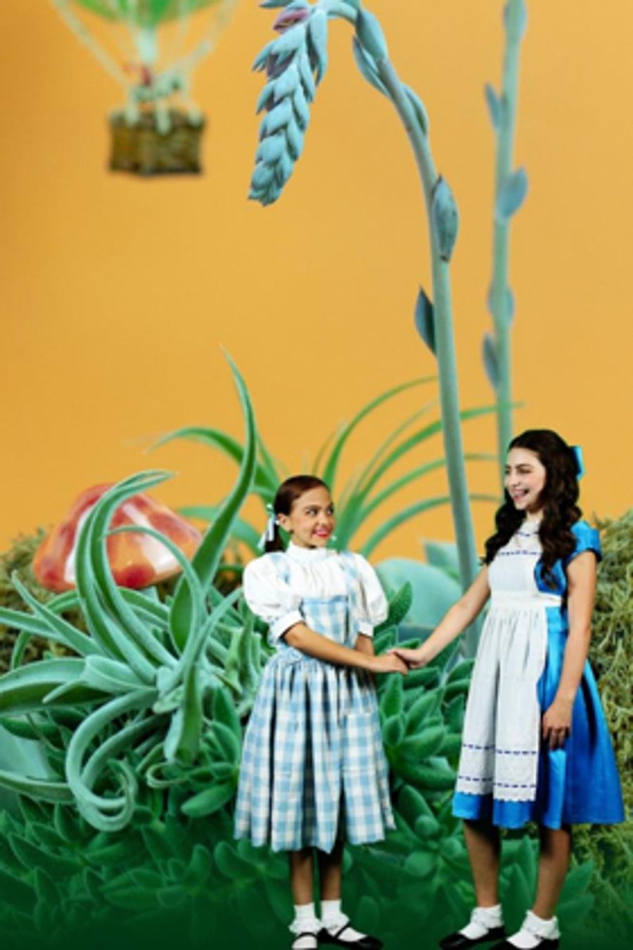 DOROTHY IN WONDERLAND Will Come to Stagecrafters Image