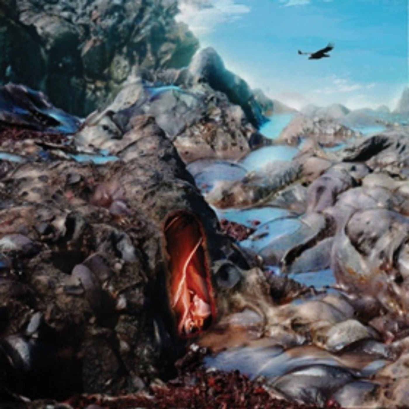 Kleenex Girl Wonder Return with New Track PRACTICAL EFFECTS + Announce New Album  Image