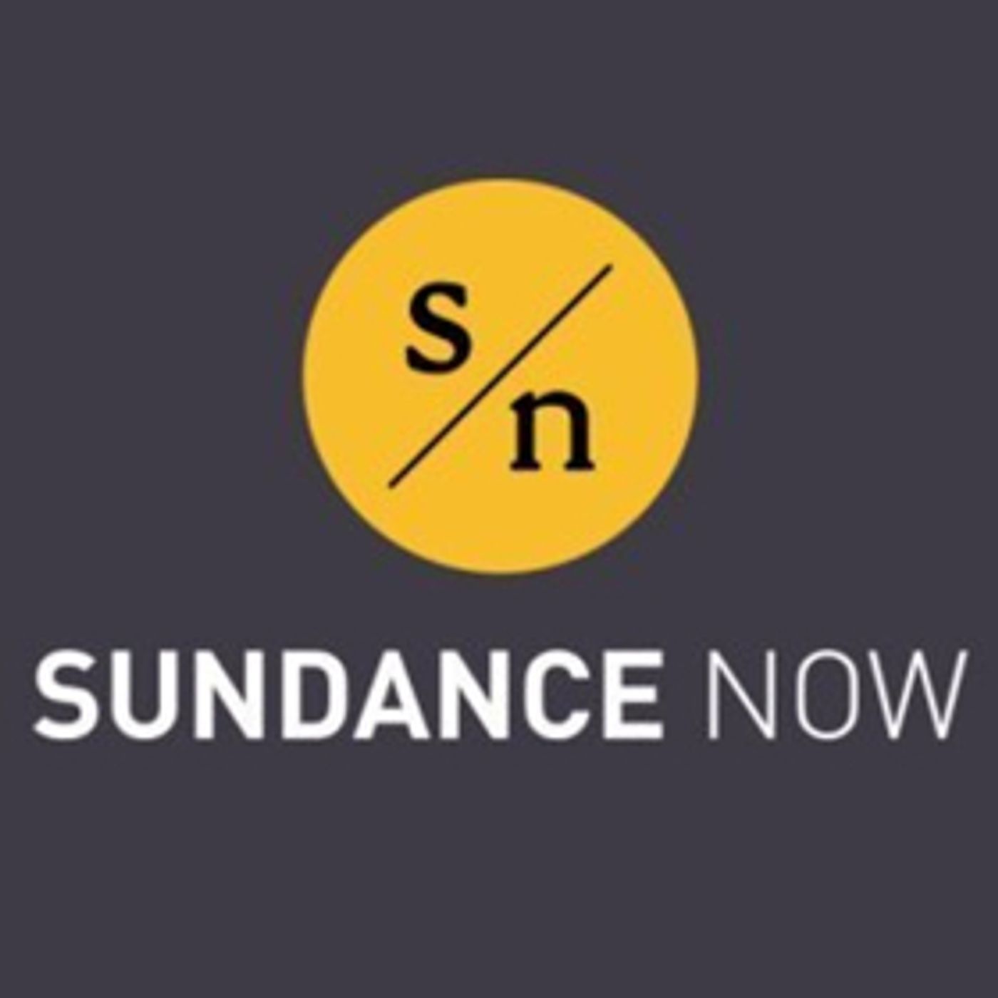 Sundance Now Announces The Exclusive U.S. Premiere of TAKE 5: THE SHADOW OF ISIS  Image