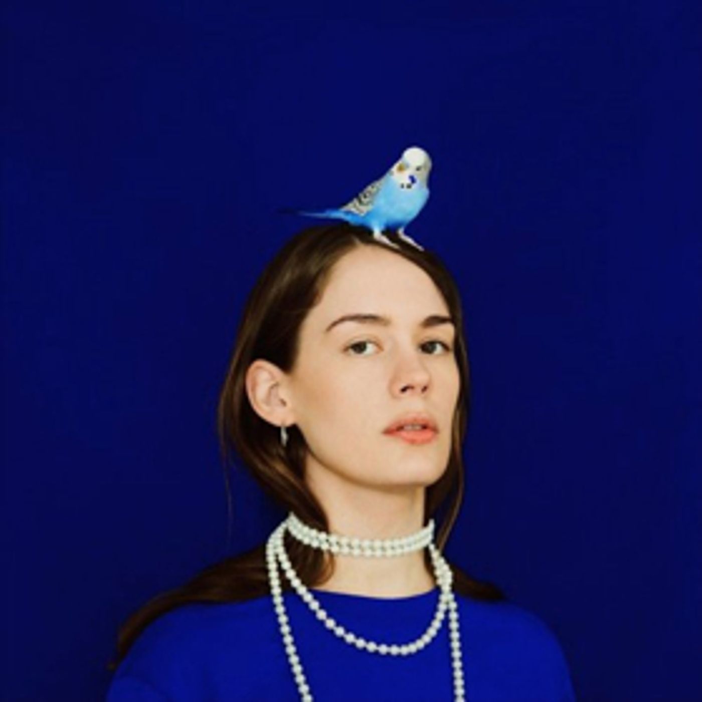 Hang With Anna Of The North At Her Dog Salon In New Video, Plus Song USED TO BE  Image