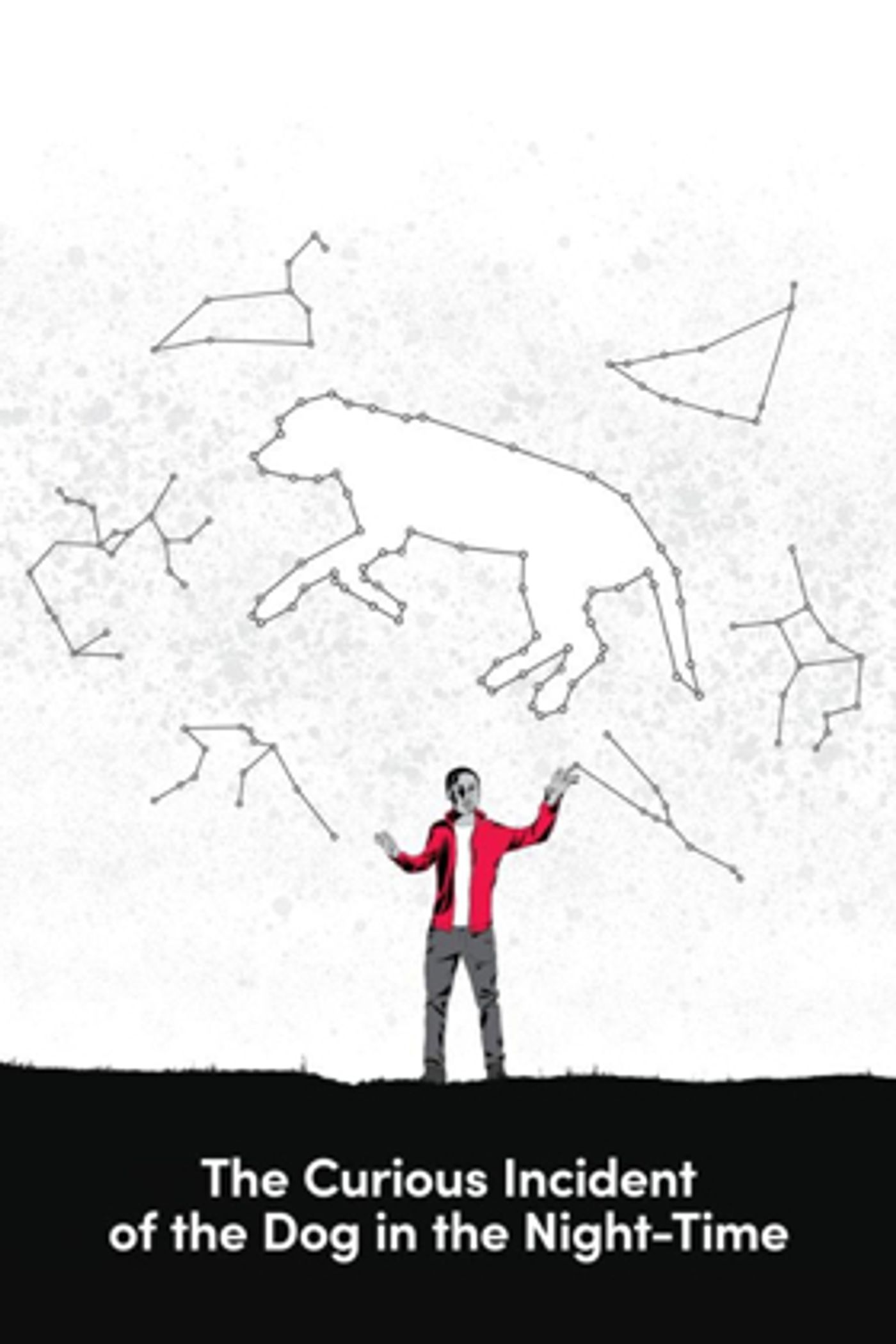 Steppenwolf For Young Adults Launches Season with THE CURIOUS INCIDENT OF THE DOG IN THE NIGHT-TIME  Image