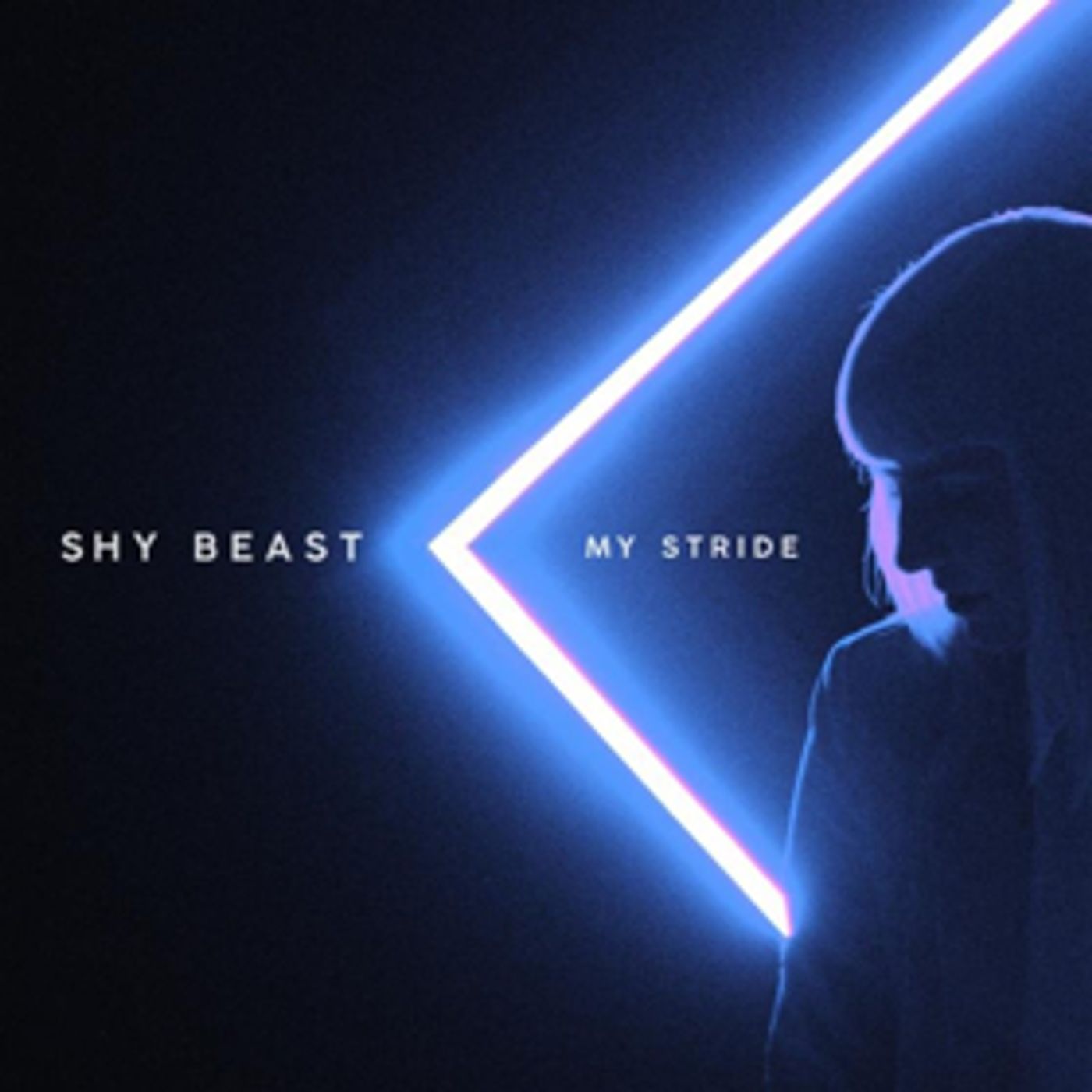 Electro-Pop Ensemble Shy Beast Announces New Single MY STRIDE & Release Show on May 19  Image