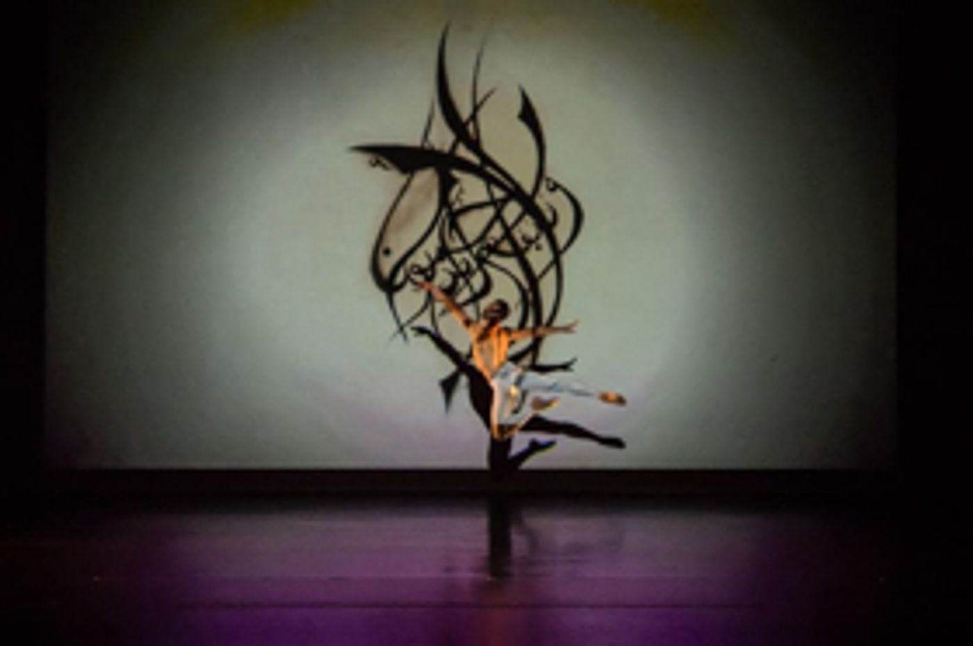 Review: FJK DANCE Offers A Physical Vocabulary That Elevates and Unites  Image