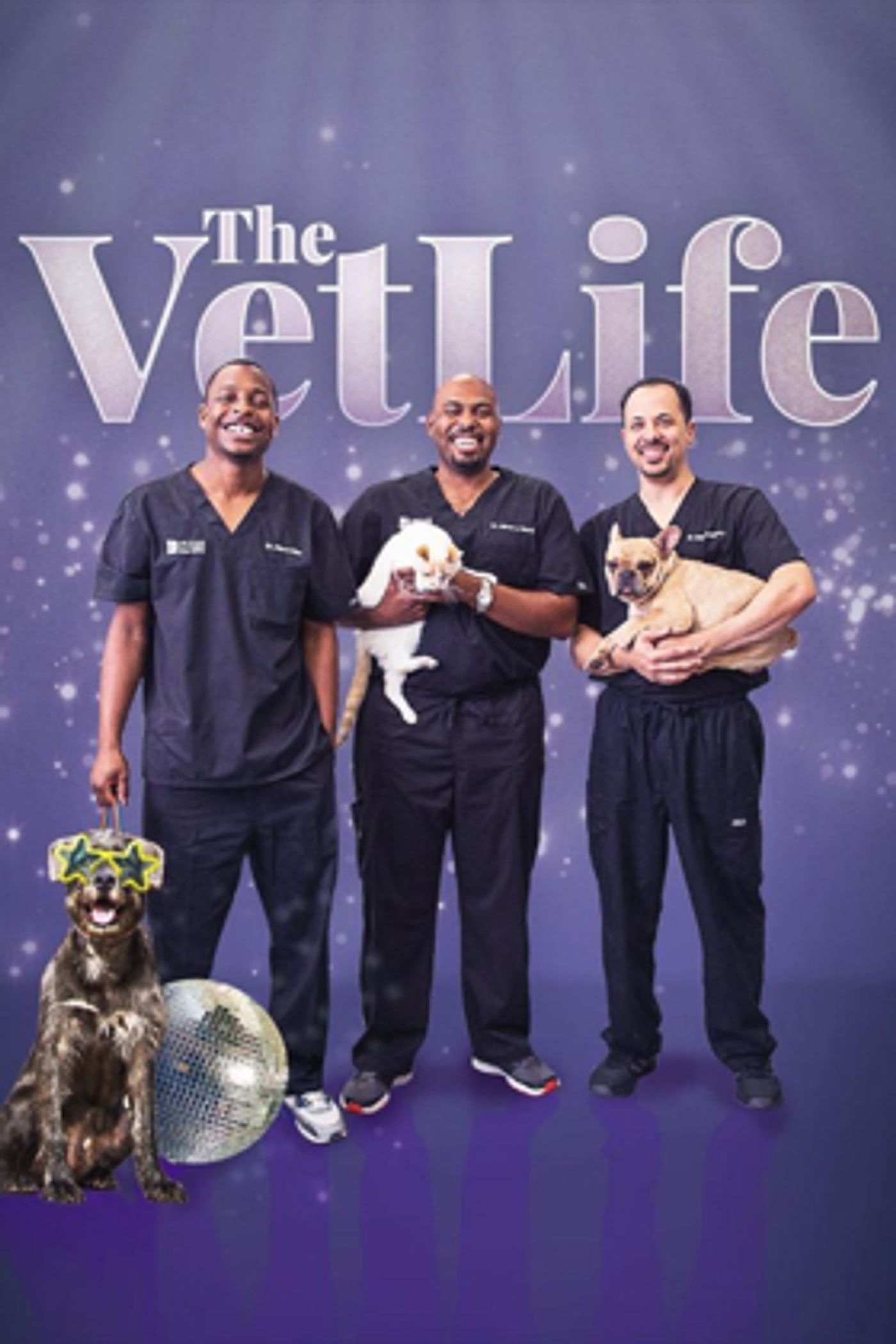 Animal Planet to Premiere New Season of THE VET LIFE Animal Planet to Premiere New Season of THE VET LIFE Image