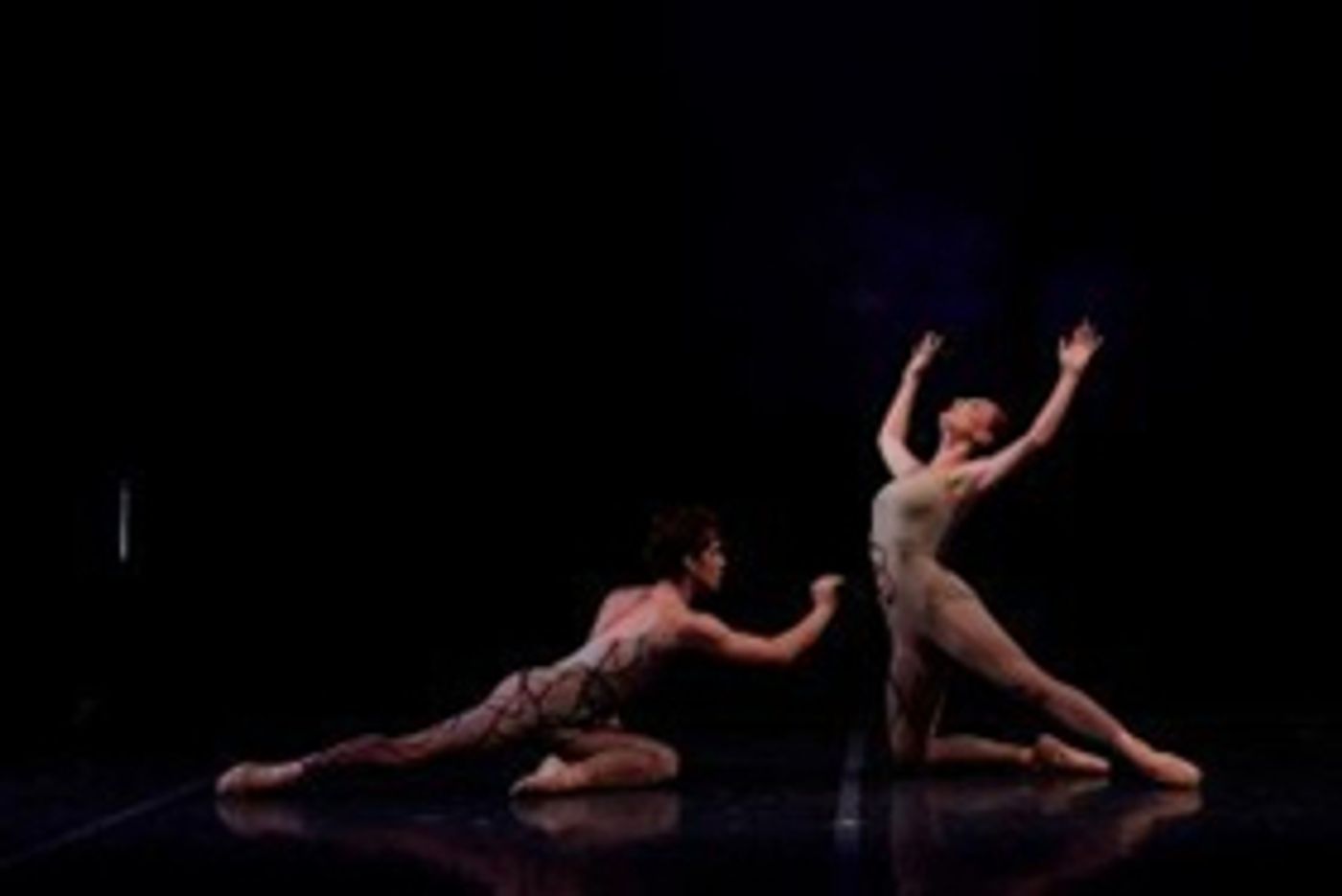New York Theatre Ballet Presents REP at Florence Gould Hall  Image