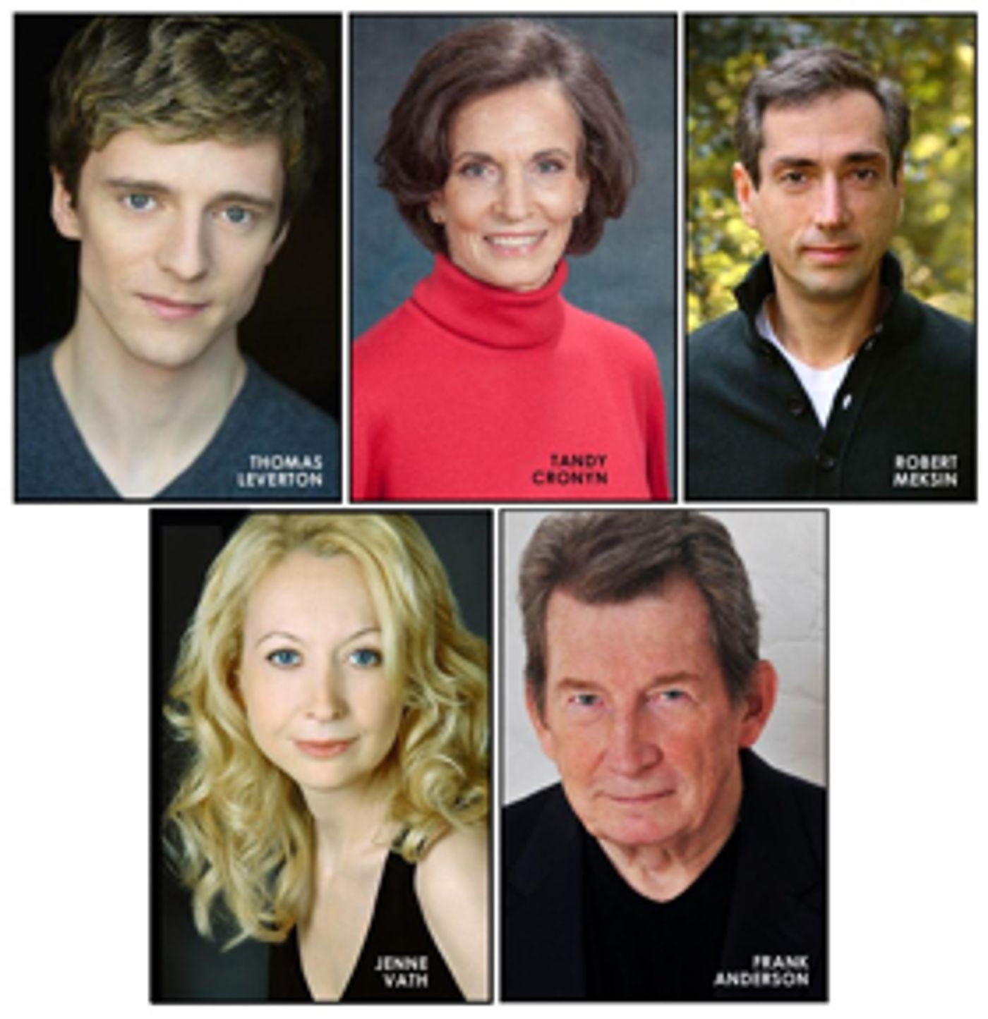Frank Anderson, Tandy Cronyn, Thomas Leverton, Robert Meksin, and Jenne Vath Join The Cast Of THE DIAMOND EATER  Image