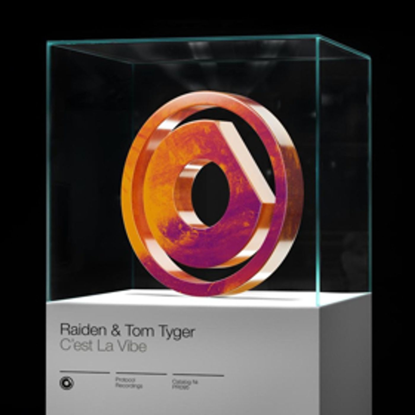 Raiden and Tom Tyger Team Up for 'C'est La Vibe' on Protocol Recordings  Image