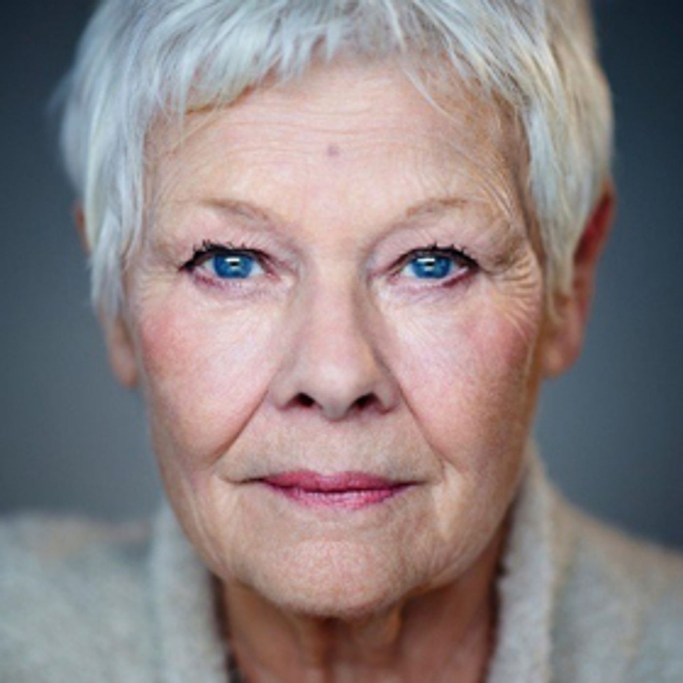 Dame Judi Dench is Omnibus Theatre Patron To Mark Venue's 5th Birthday  Image