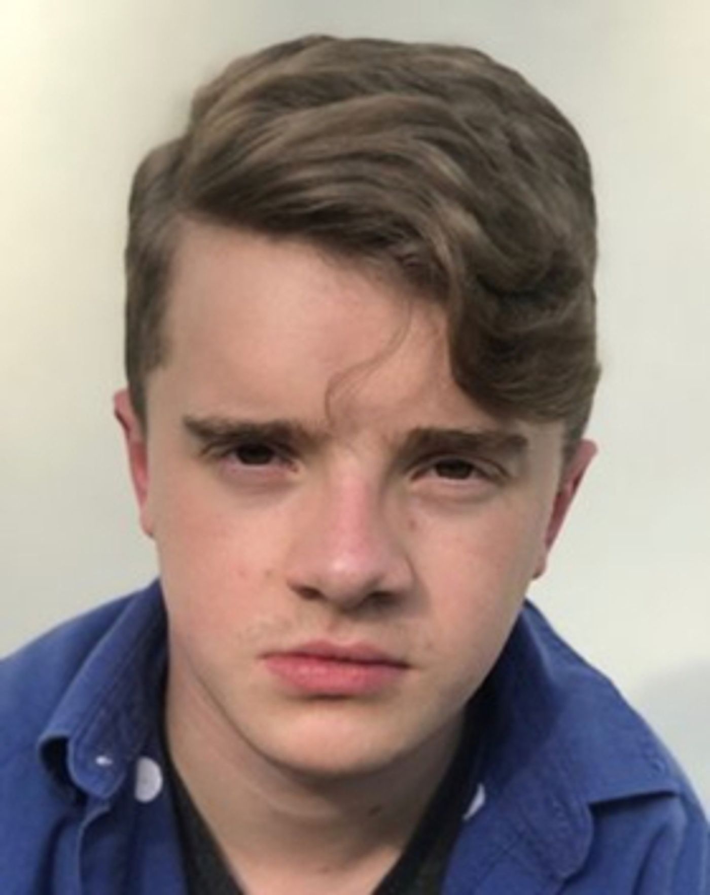 BWW Blog: Life with Wiggy- An Introduction BWW Blog: Life with Wiggy- An Introduction Image