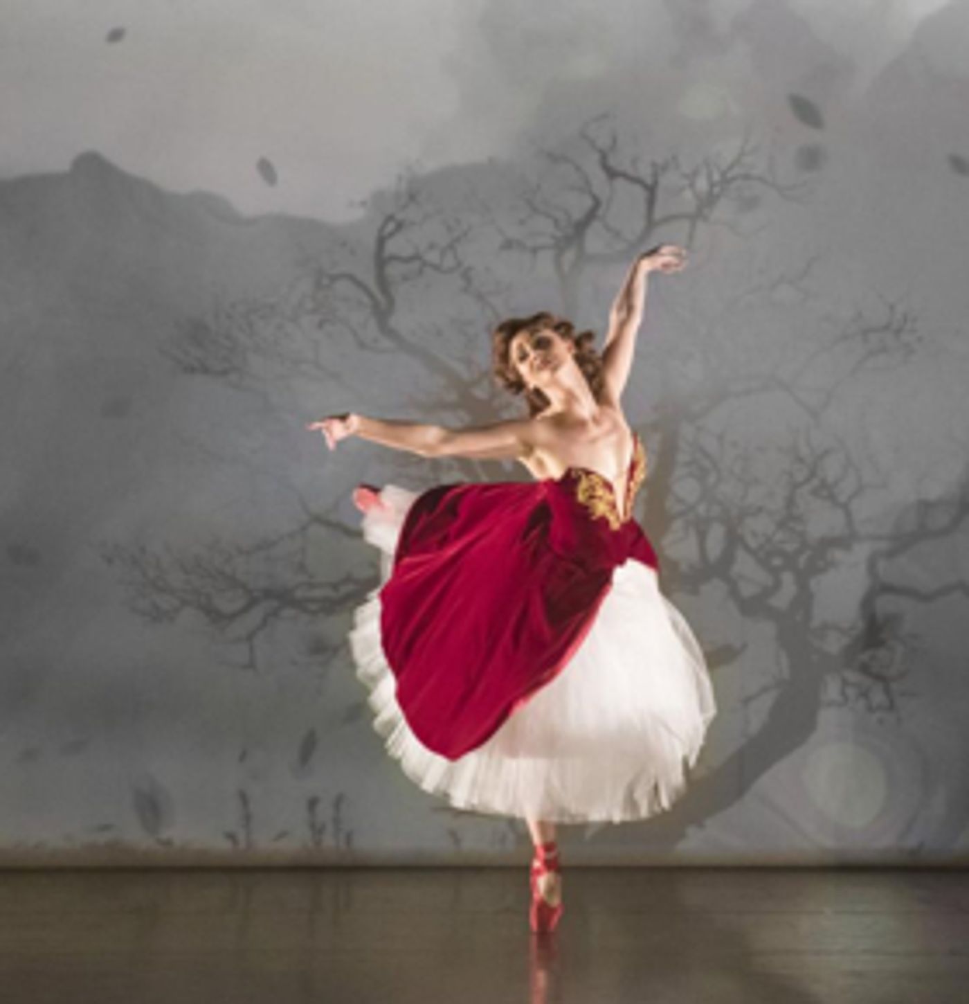Review Roundup: RED SHOES at New York City Center  Image