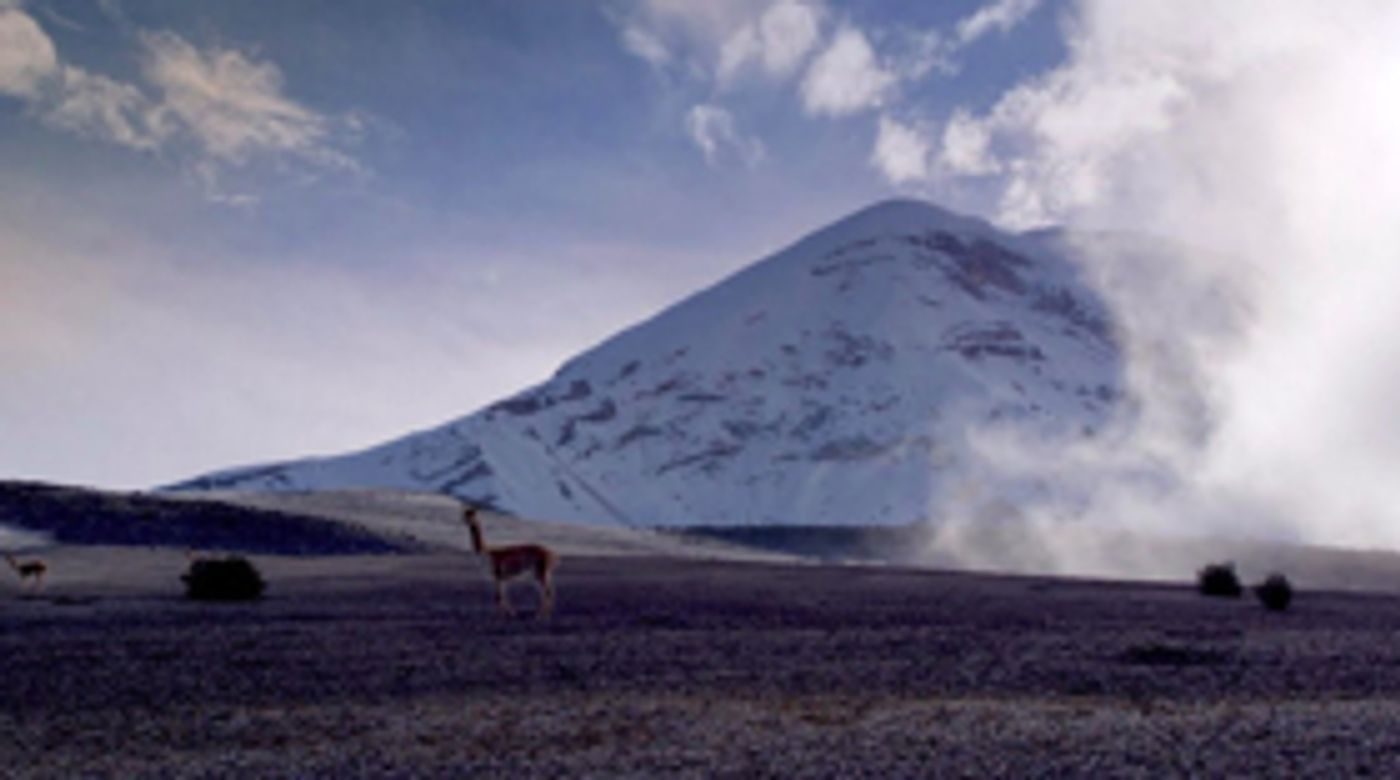 Smithsonian Channel Presents THE WILD ANDES Smithsonian Channel Presents THE WILD ANDES Image