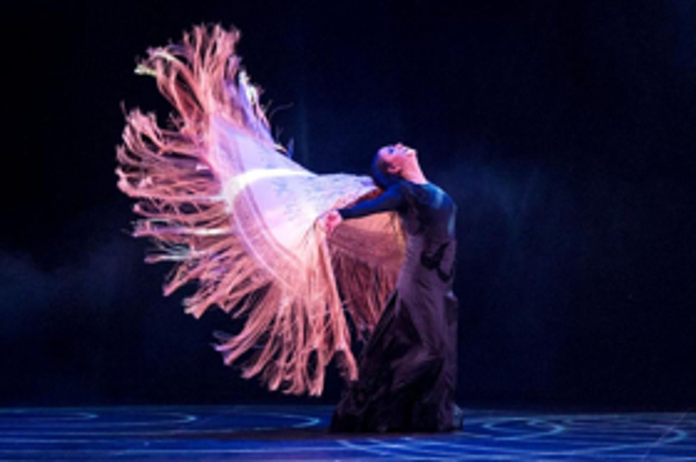 Review: Celebrating Flamenco's Present and Future at the 2018 NEW YORK FLAMENCO FESTIVAL  Image