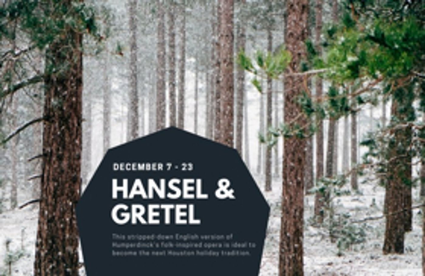 Rec Room Arts Presents Its First Opera HANSEL & GRETEL in a 600 Sq. Ft. Wooded Installation  Image