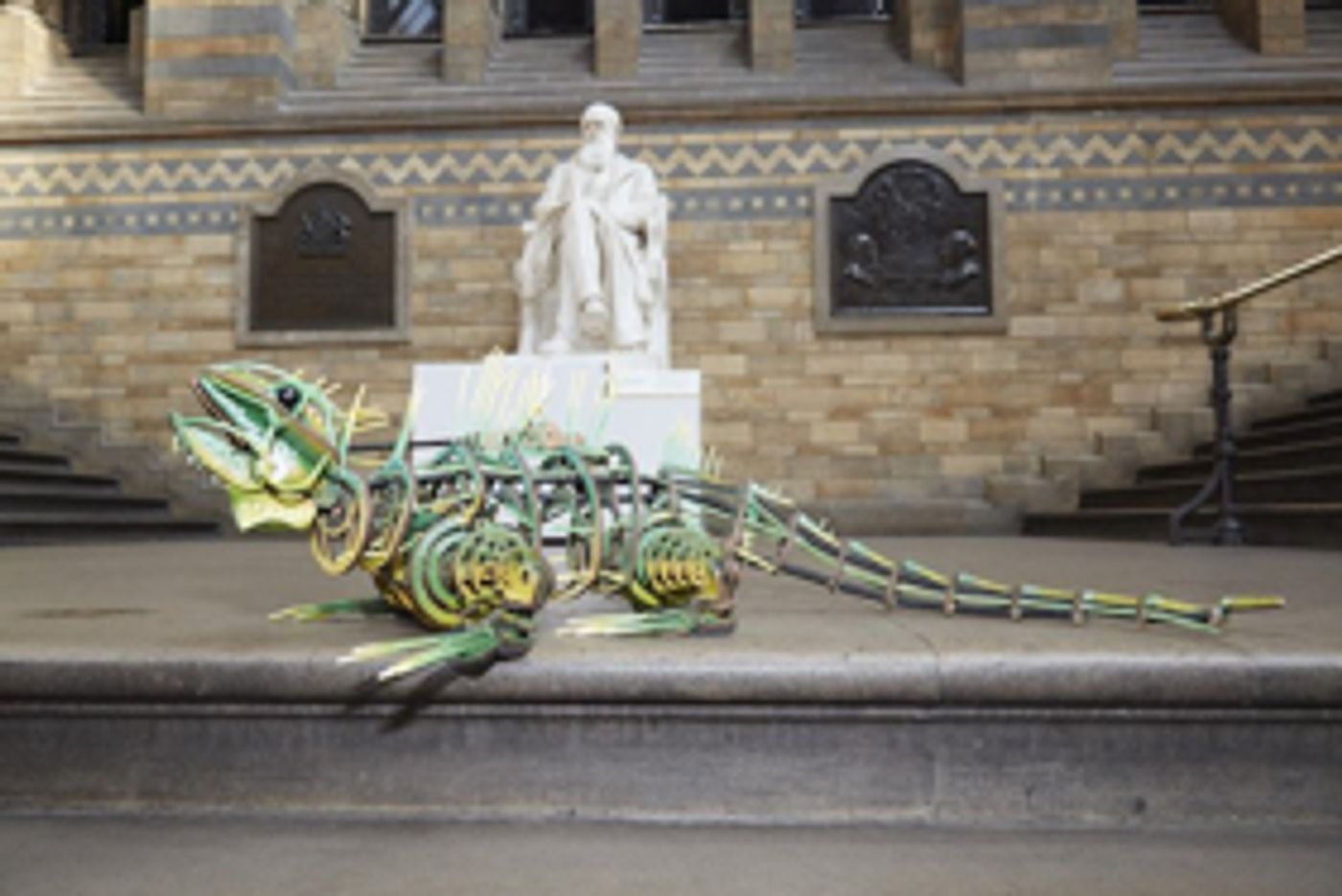 Guest Blog: Nick Paine On THE WIDER EARTH at the Natural History Museum  Image