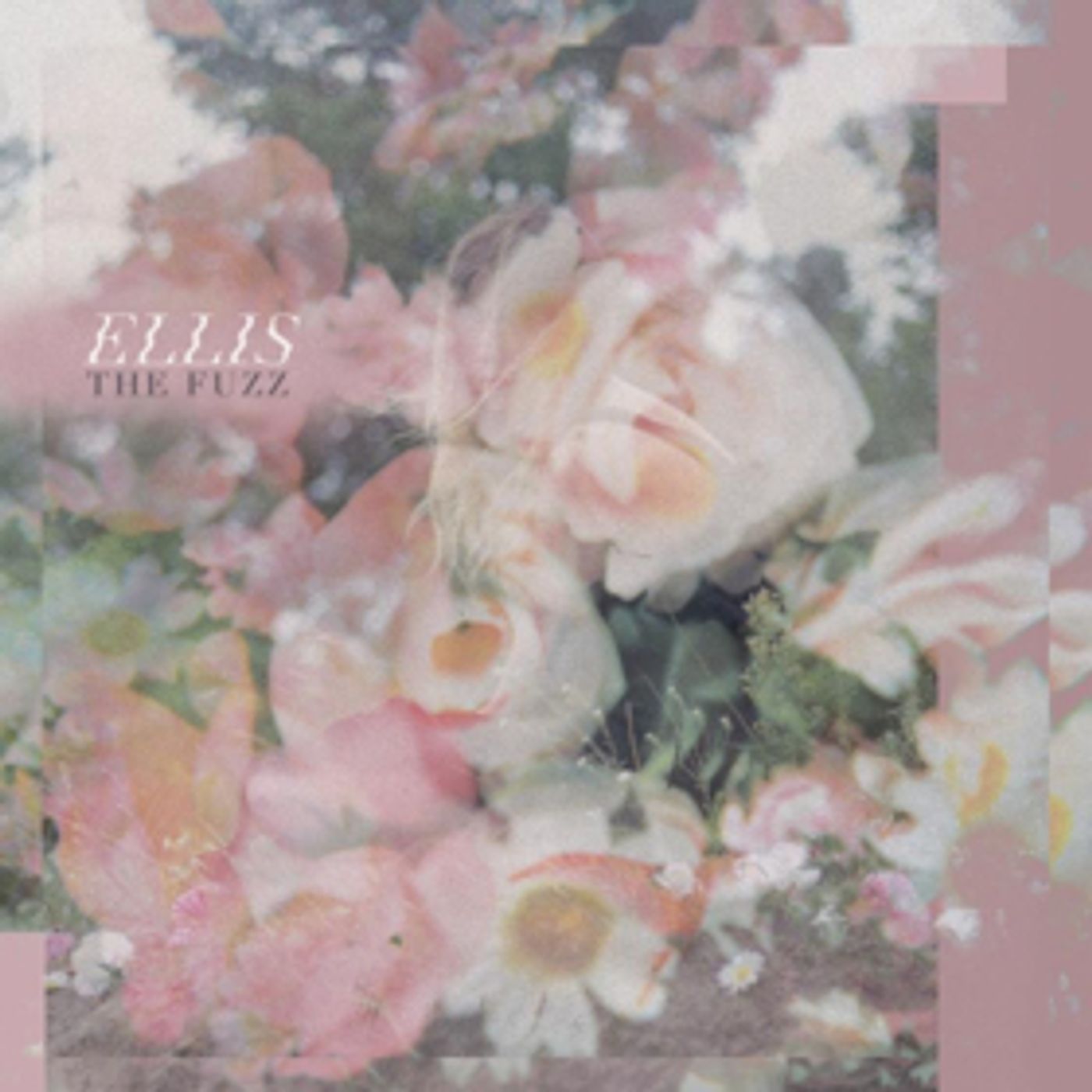 ELLIS Shares New Song via NPR, Playing SXSW, NYC's New Colossus Festival Next Month  Image