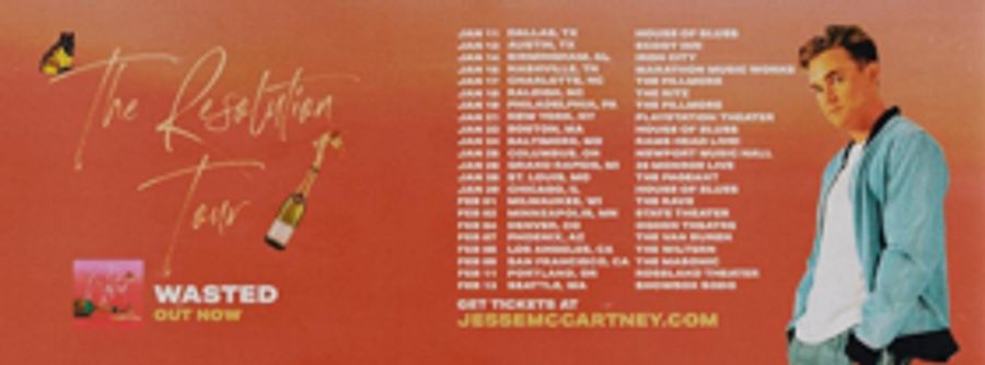 Whitney Woerz Joins Jesse McCartney's The Resolution Tour Image