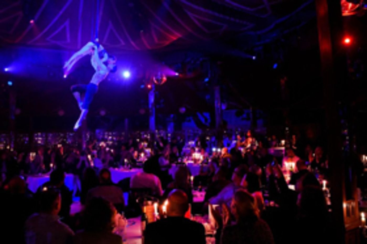 Review: PALAZZO at Spiegeltent: REUBENLICIOUS - SO DELICIOUS!  Image