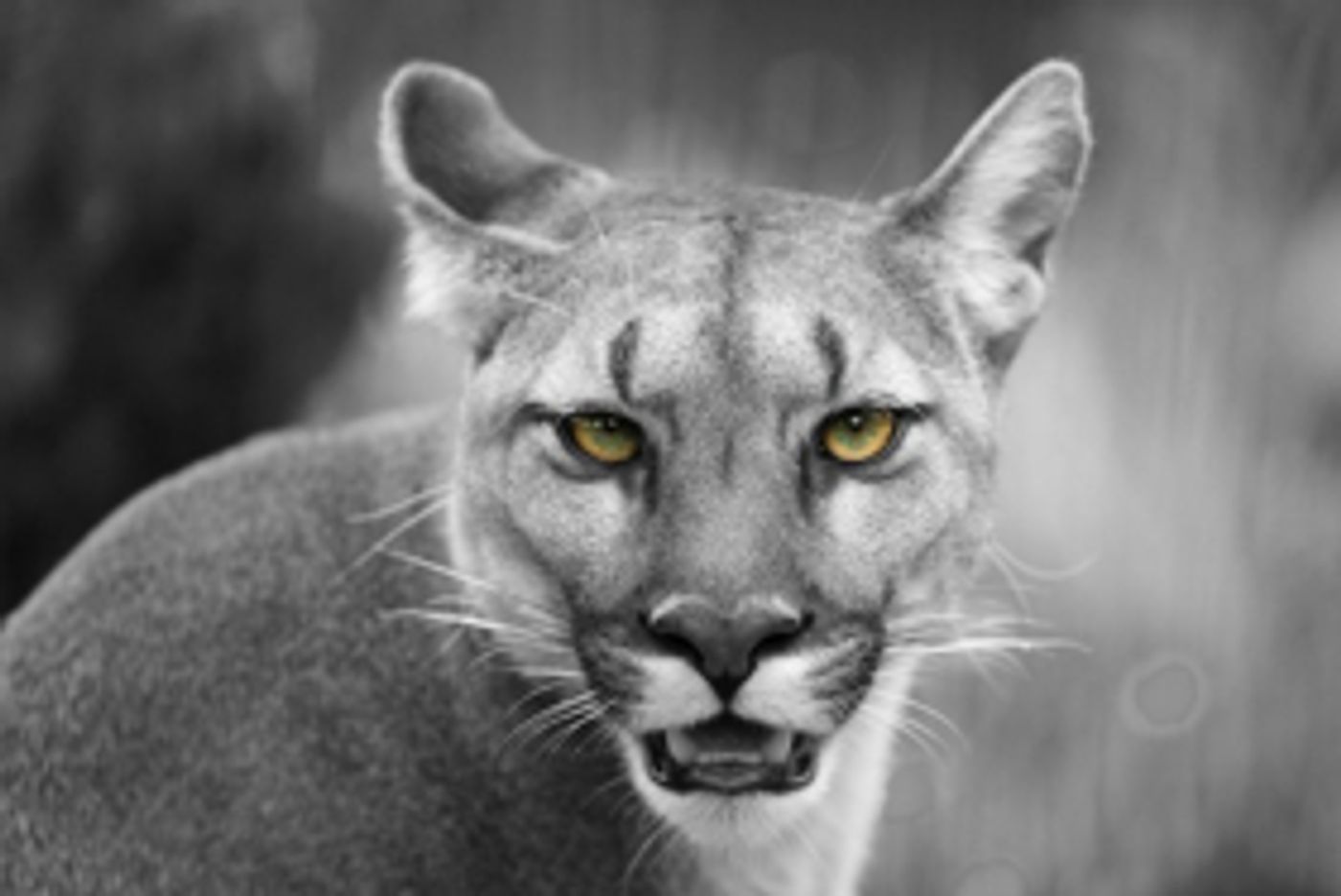 Orange Tree Theatre Announces New Season; Features Fugard and Rattigan Orange Tree Theatre Announces New Season; Features Fugard and Rattigan Image