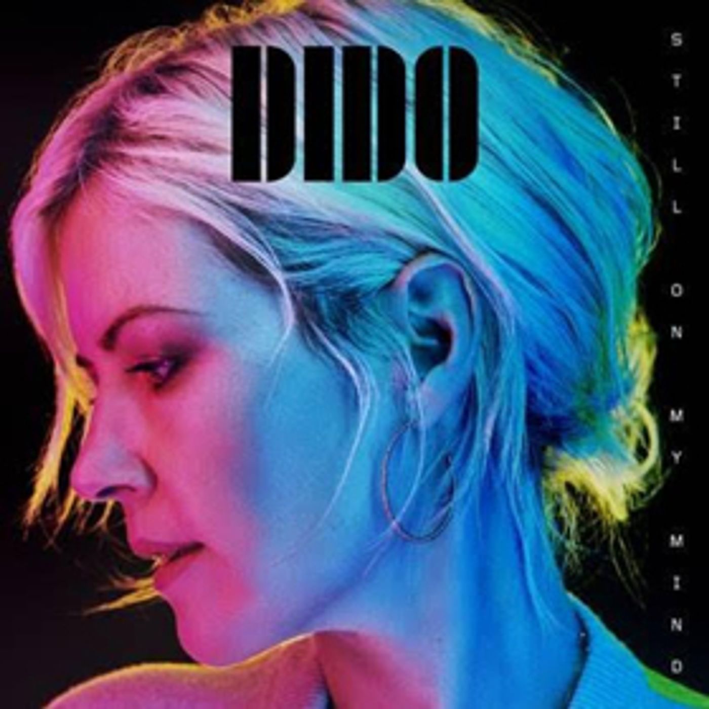 Dido's New Single GIVE YOU UP Out Now, New Album Out 3/8, Embarks On US Tour  Image