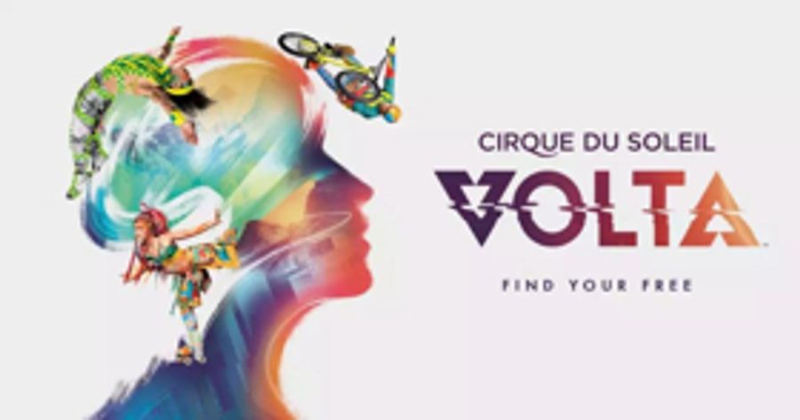 Veteran Cirque Du Soleil Performer, Yann Arnaud, Dies Following Fall at Tampa Show Image