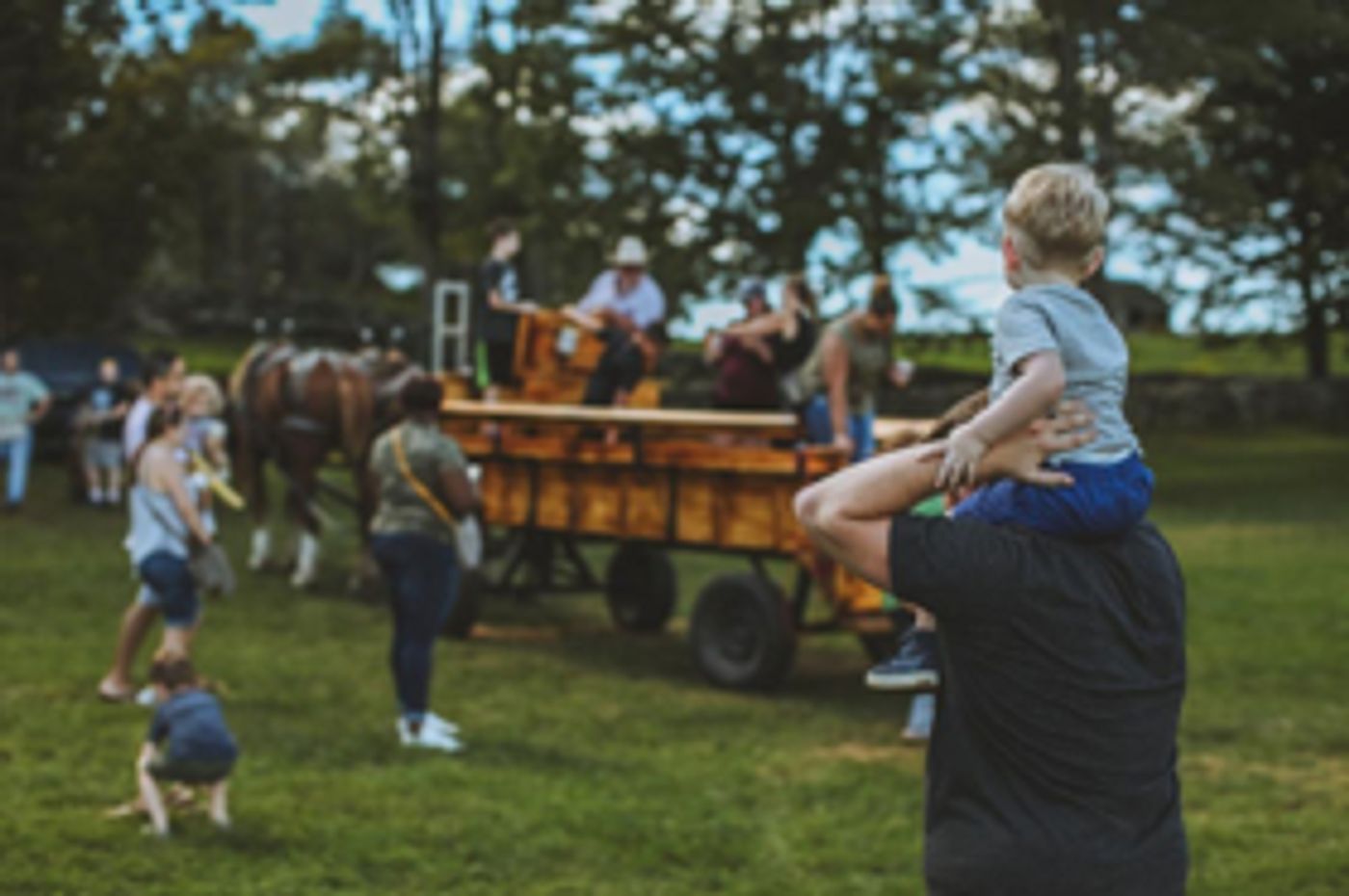 Bethel Woods Announces Fall Festivals  Image