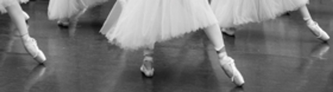 Five New Recruits And A Medley Of Promotions Sets The Scene For The Australian Ballet's 2019 Year Of Enchantment Five New Recruits And A Medley Of Promotions Sets The Scene For The Australian Ballet's 2019 Year Of Enchantment Image