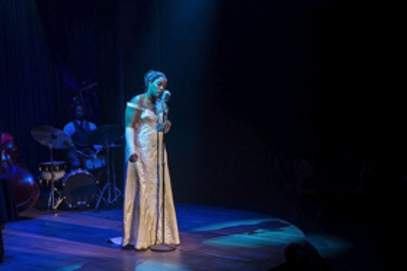 Review: Lady Day AT EMERSON'S BAR AND GRILL at Rep Stage in Columbia Is Just Dazzling  Image