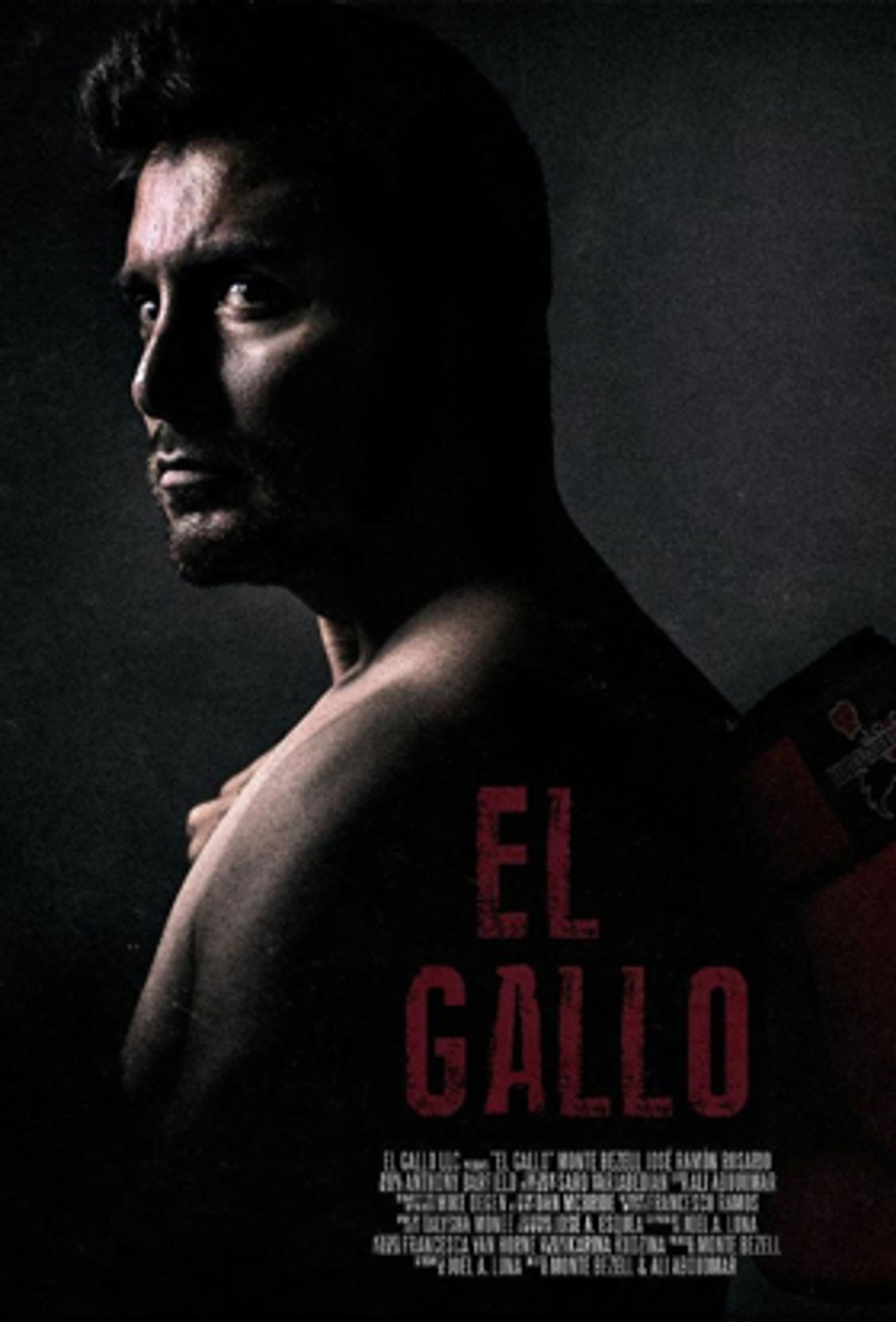 BWW Exclusively Debuts Poster Art for Boxing Drama EL GALLO BWW Exclusively Debuts Poster Art for Boxing Drama EL GALLO Image