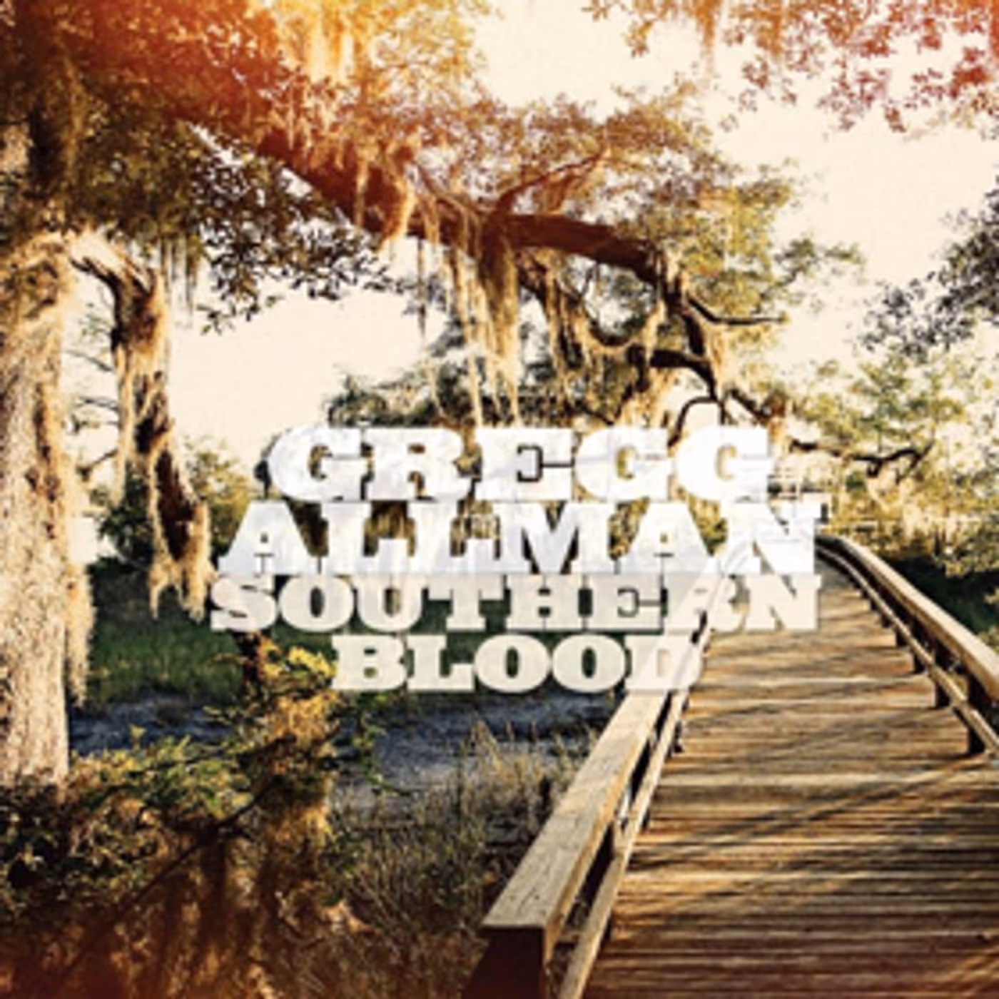 Gregg Allman's Final Record Celebrated with GRAMMY Nominations  Image