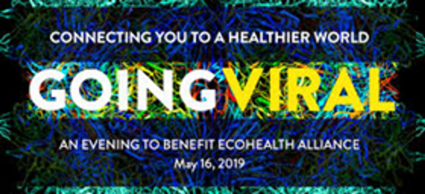 Interview: Hollywood Producer, Lynda Obst, Talks THE HOT ZONE and Working in the Film Industry  Image