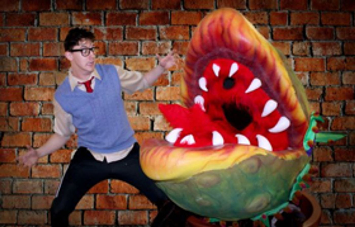 Broadway Palm Presents LITTLE SHOP OF HORRORS Broadway Palm Presents LITTLE SHOP OF HORRORS Image