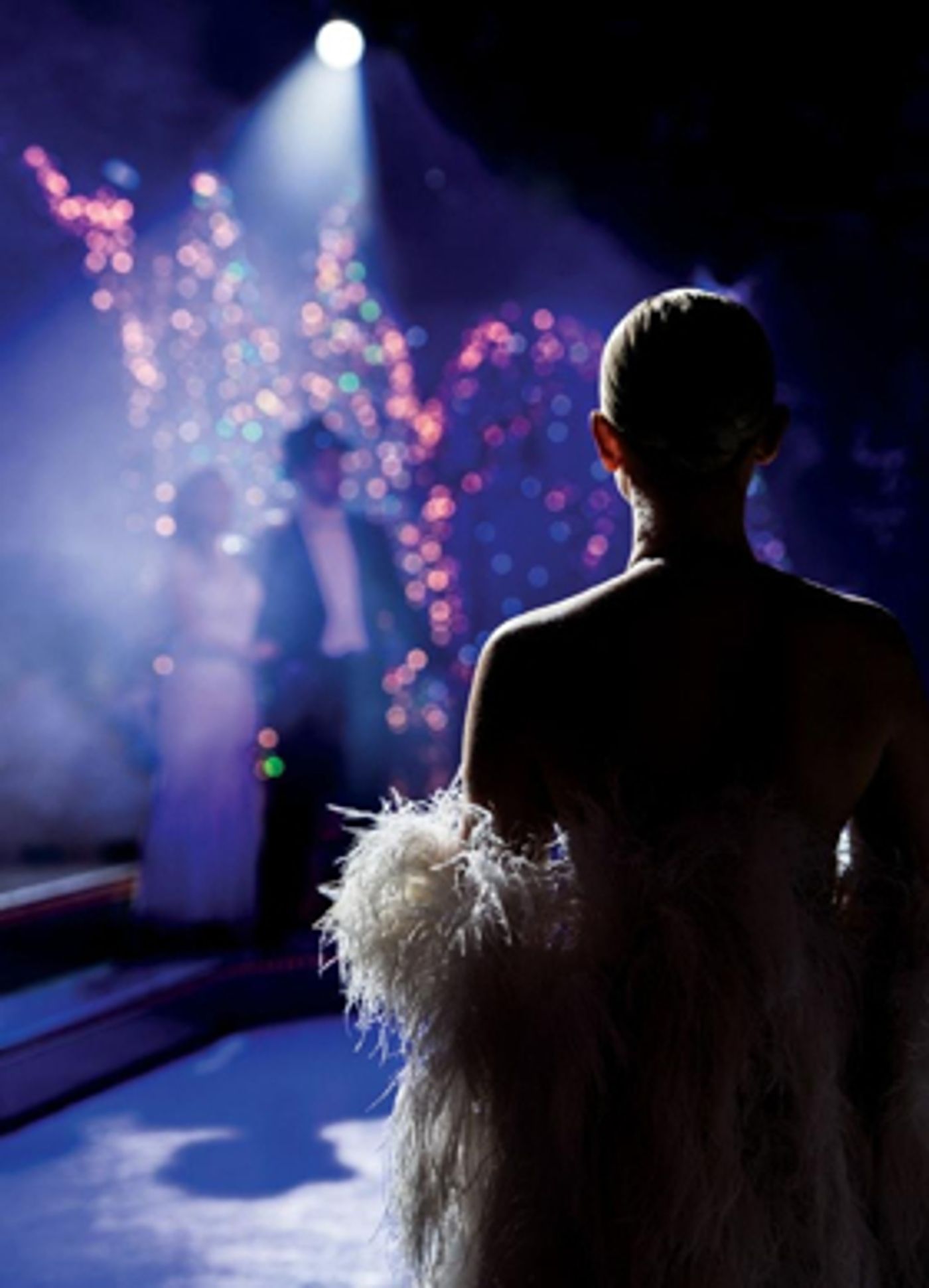 THURSFORD CHRISTMAS SPECTACULAR, Europe's Biggest Christmas Show, Returns To Norfolk This Winter THURSFORD CHRISTMAS SPECTACULAR, Europe's Biggest Christmas Show, Returns To Norfolk This Winter Image