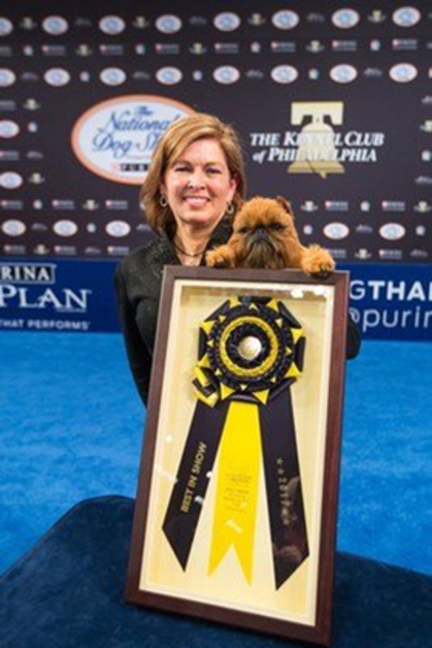 Dynamic Brussels Griffon (Toy Group) Wins NATIONAL DOG SHOW Presented By Purina  Image
