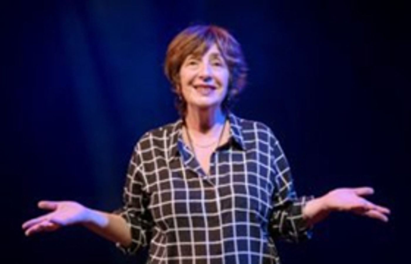 Review: I DID IT MY WAY IN YIDDISH (IN ENGLISH) at MetroStage  Image