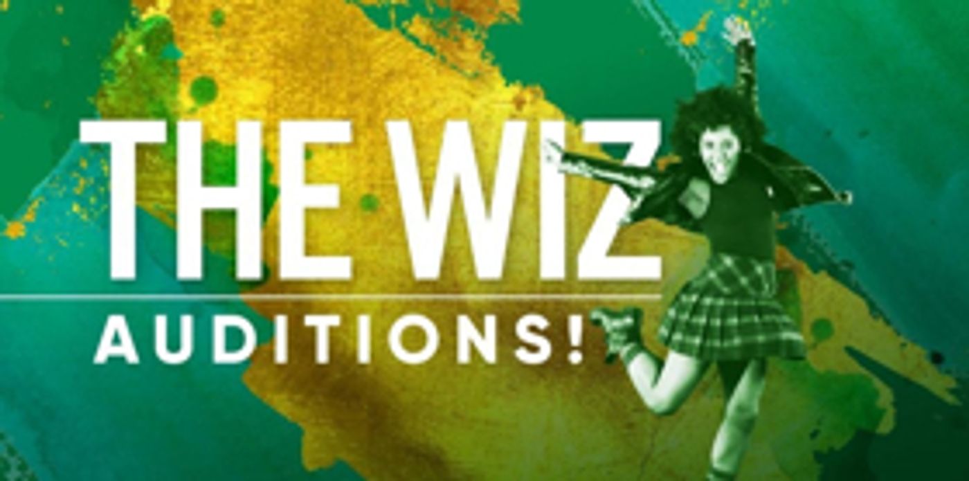 Theatre Under The Stars Releases Hilarious Casting Breakdowns for THE WIZ!  Image