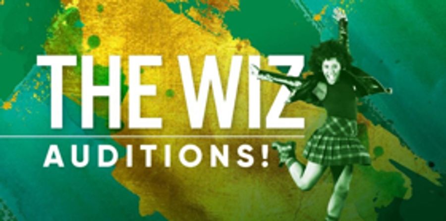 Theatre Under The Stars Releases Hilarious Casting Breakdowns for THE WIZ! Image