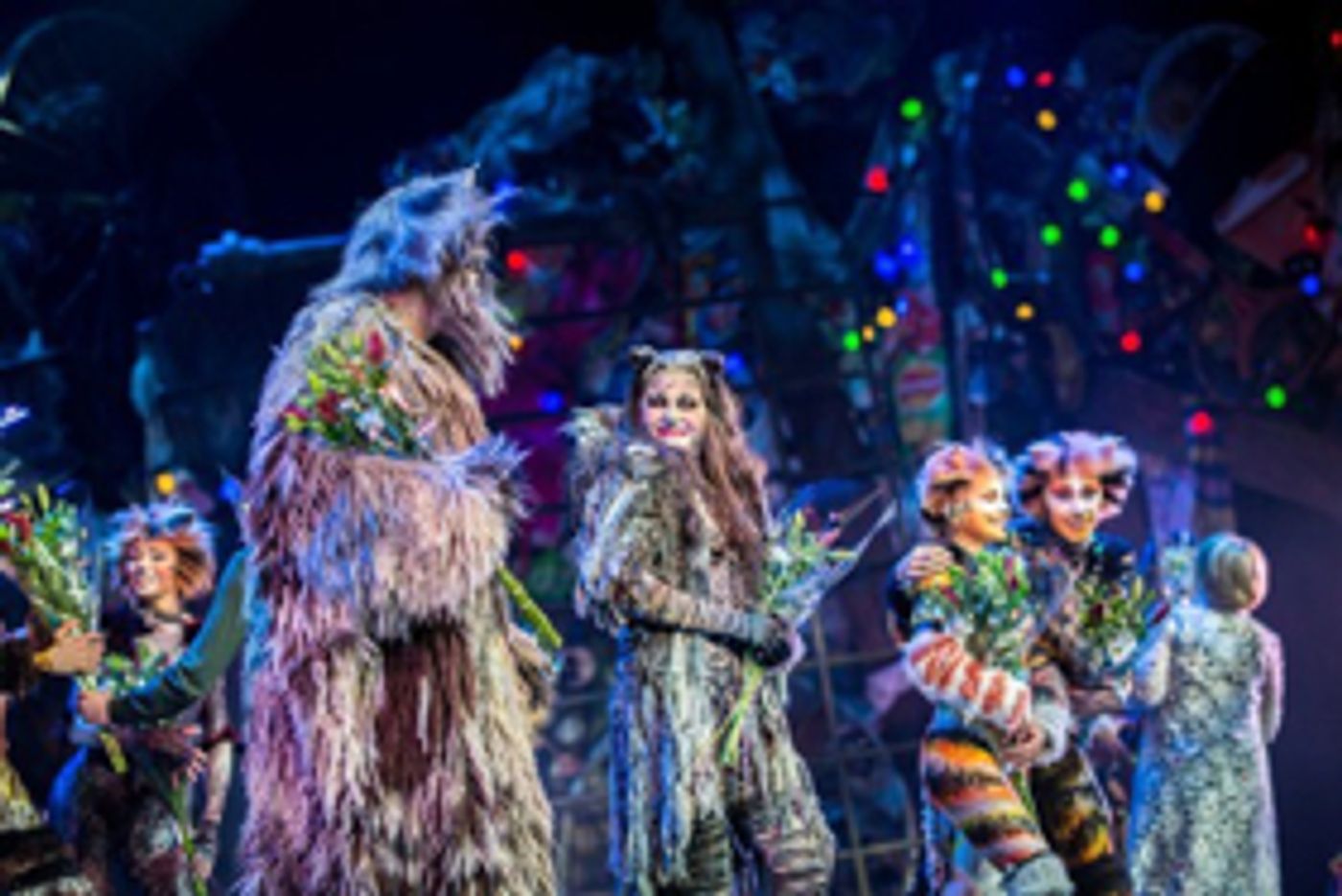 Kaartverkoop CATS in nieuwe Luxor Theater gaat hard Kaartverkoop CATS in nieuwe Luxor Theater gaat hard Image