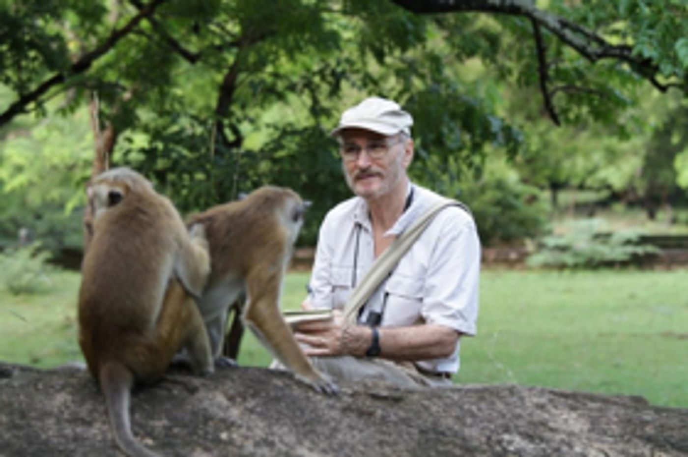 Smithsonian Channel Announces New Series A LIFE AMONG MONKEYS Smithsonian Channel Announces New Series A LIFE AMONG MONKEYS Image