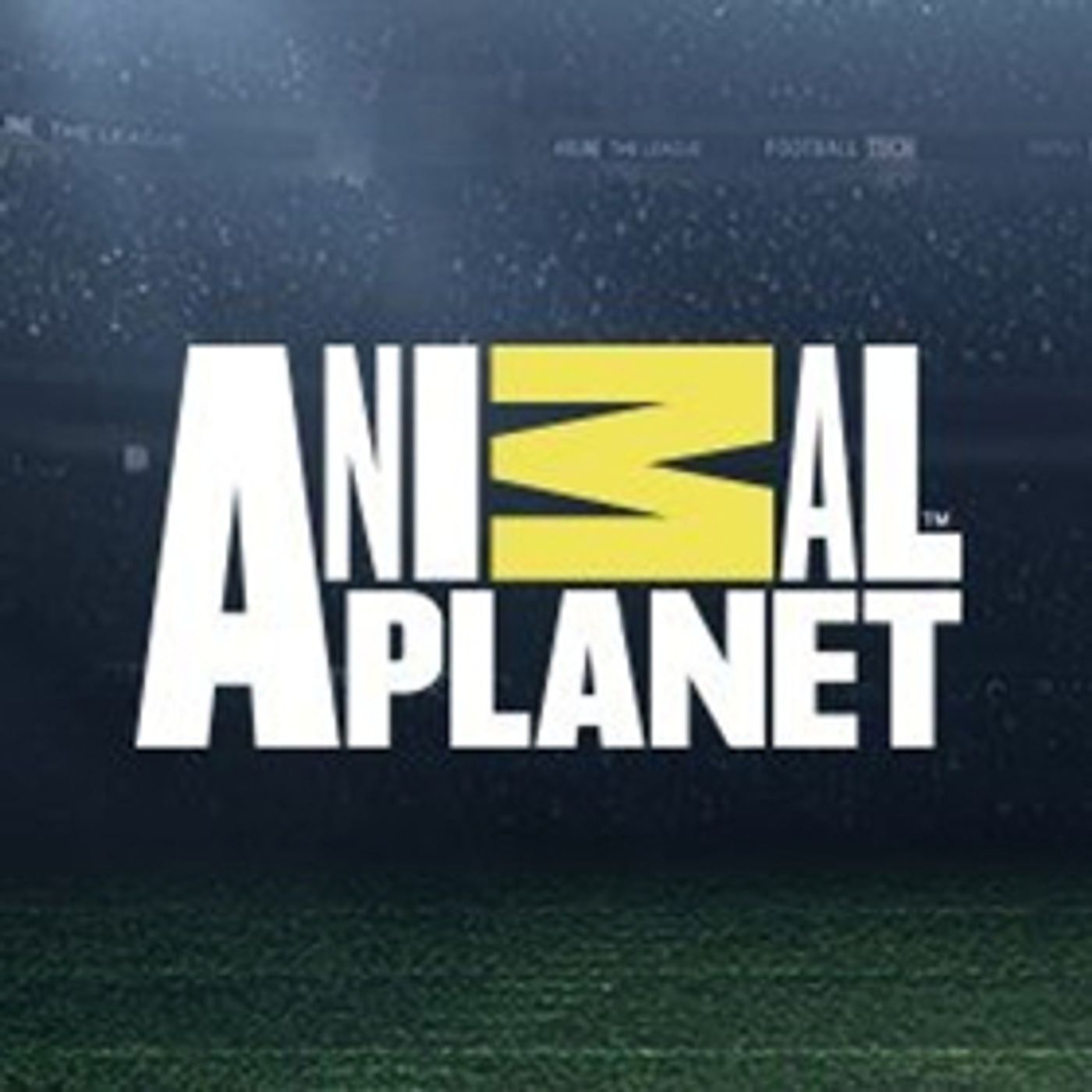 THE VET LIFE Returns to Animal Planet for Season Three, Today  Image