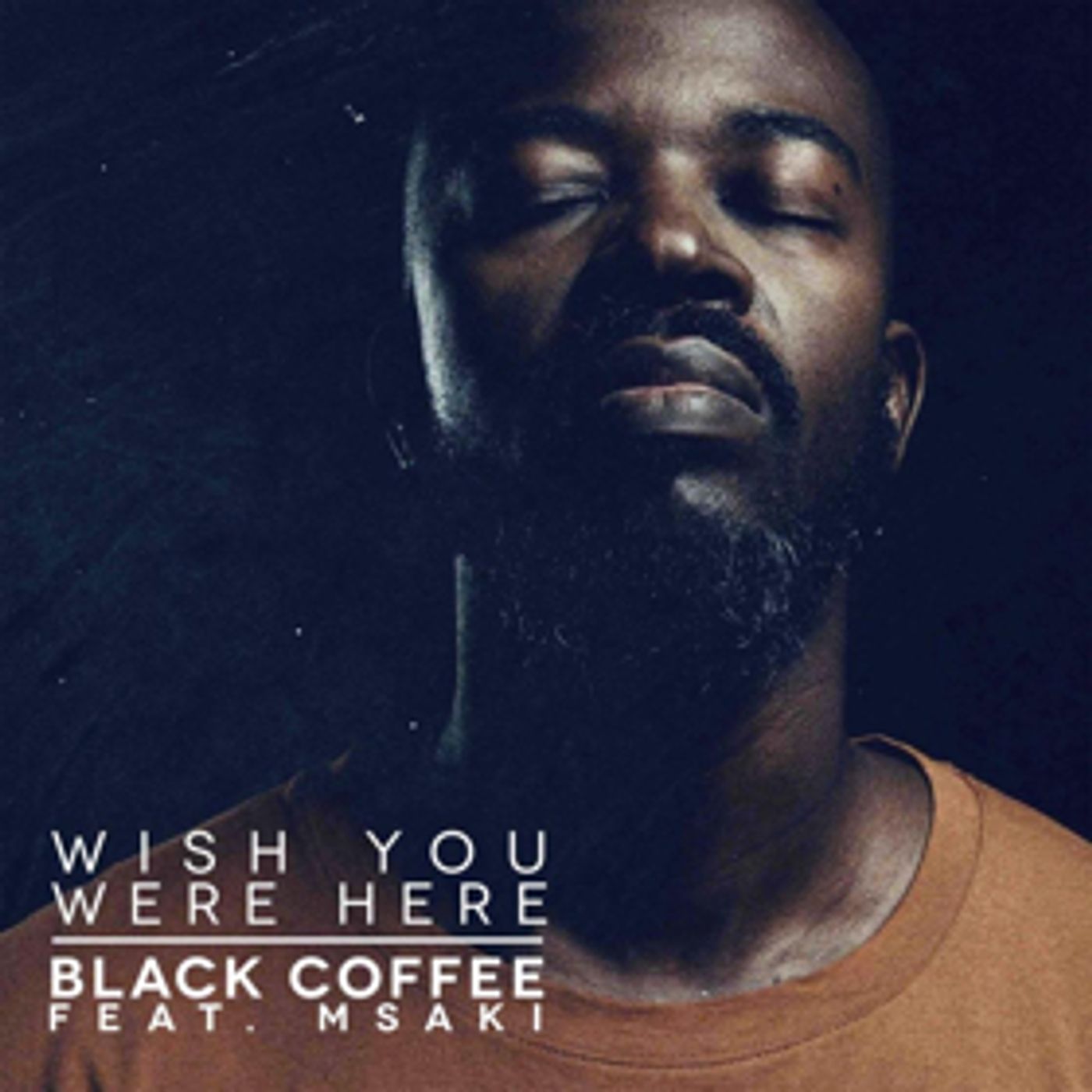 Black Coffee Releases New Single WISH YOU WERE HERE  Image