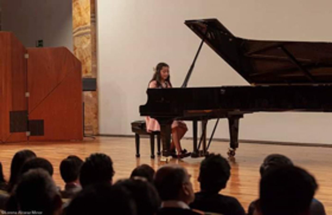 Demuestran tres jóvenes pianistas su destreza en la Sala Manuel M. Ponce Demuestran tres jóvenes pianistas su destreza en la Sala Manuel M. Ponce Image